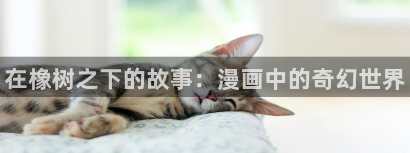 免费观看的yy漫画